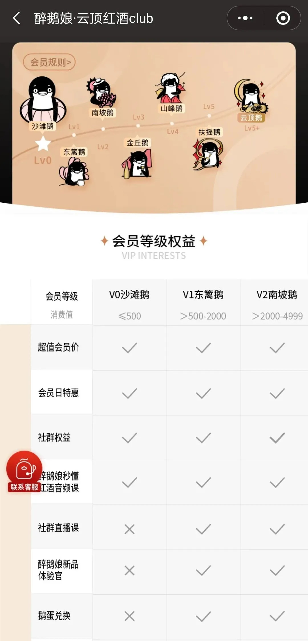 “酒中作樂”7年變現(xiàn)3.5億，紅酒網(wǎng)紅“醉鵝娘”是如何做到的?